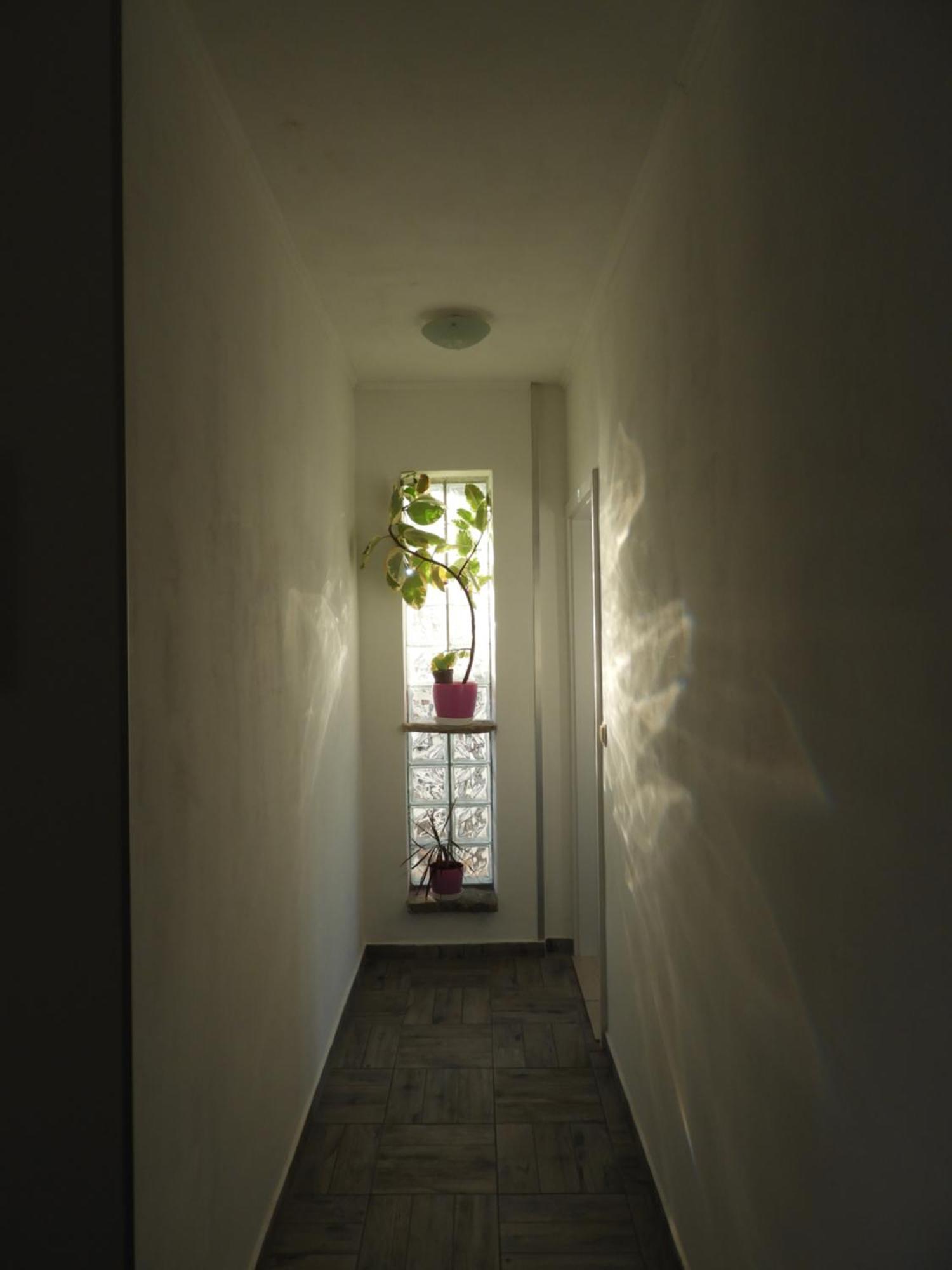 Apartman Pobuk Primošten Extérieur photo